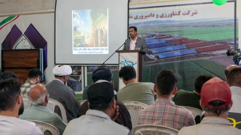 غدیر در سنگر تولید؛ تجلیل از «سربازان گمنام امنیت غذایی» در ملاردشیر