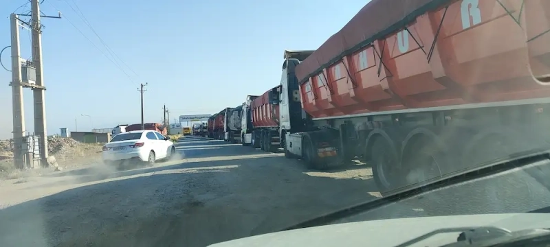 ورود و دپوی 5 هزار تن ذرت علوفه‌ای از استان خوزستان در شرکت ملاردشیر
