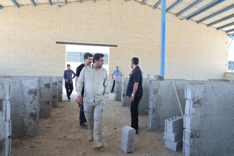 عزم راسخ در خط مقدم توسعه ملاردشیر؛ پایش میدانی مدیرعامل ملاردشیر در پروژه استراتژیک 3هزار‌ راس مولد ملایر