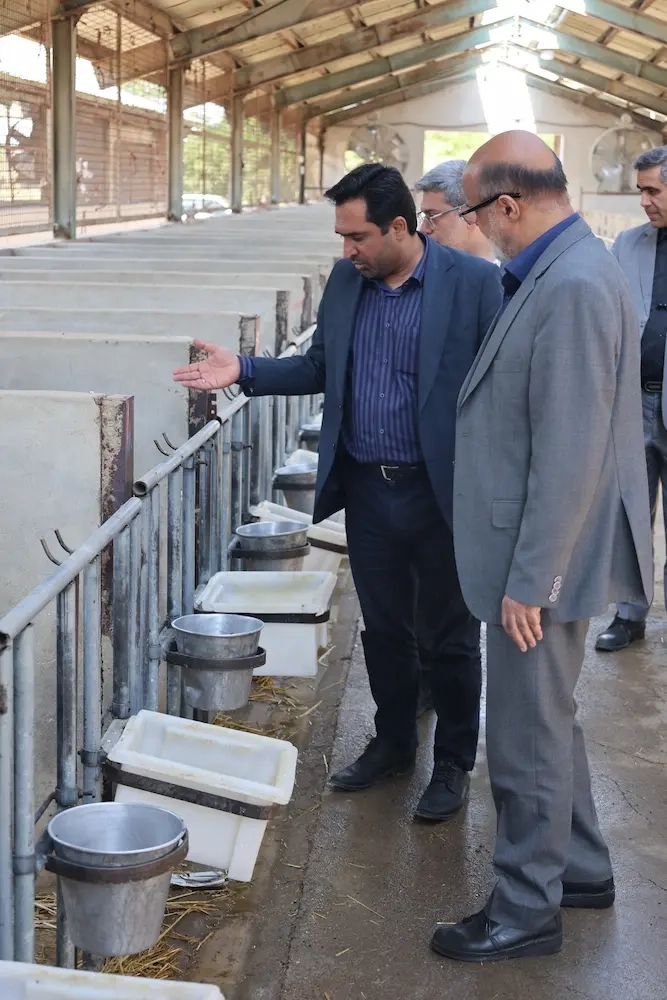 بازدید دکتر نایب معاون راهبردی و نظارت بر شرکت های شستا به همراه هیئت همراه از مجموعه ملاردشیر