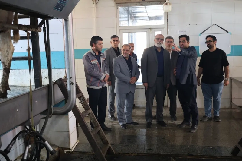 بازدید دکتر نایب معاون راهبردی و نظارت بر شرکت های شستا به همراه هیئت همراه از مجموعه ملاردشیر