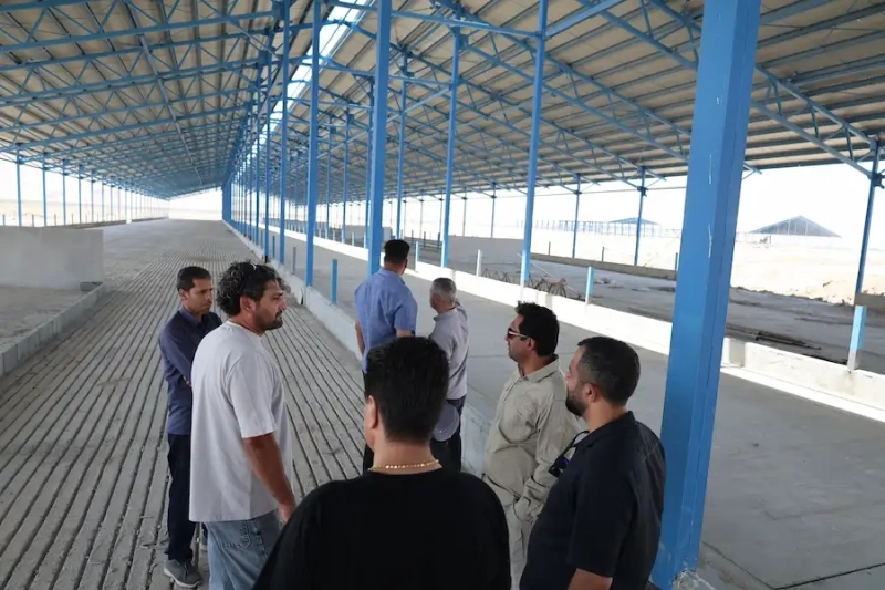 عزم راسخ در خط مقدم توسعه ملاردشیر؛ پایش میدانی مدیرعامل ملاردشیر در پروژه استراتژیک 3هزار‌ راس مولد ملایر
