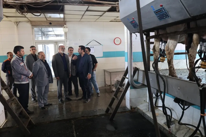 بازدید دکتر نایب معاون راهبردی و نظارت بر شرکت های شستا به همراه هیئت همراه از مجموعه ملاردشیر