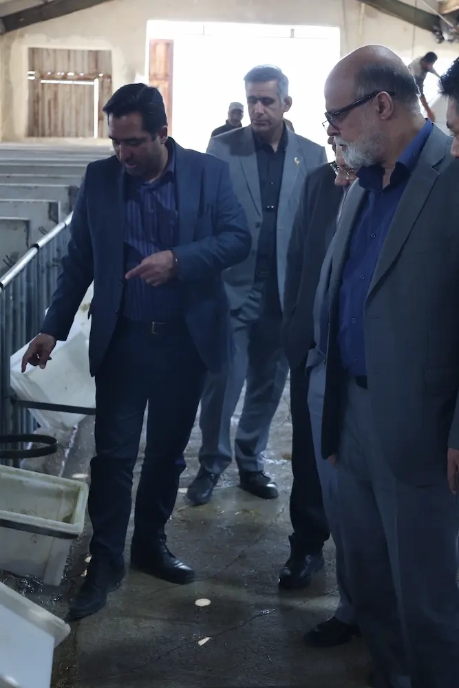 بازدید دکتر نایب معاون راهبردی و نظارت بر شرکت های شستا به همراه هیئت همراه از مجموعه ملاردشیر