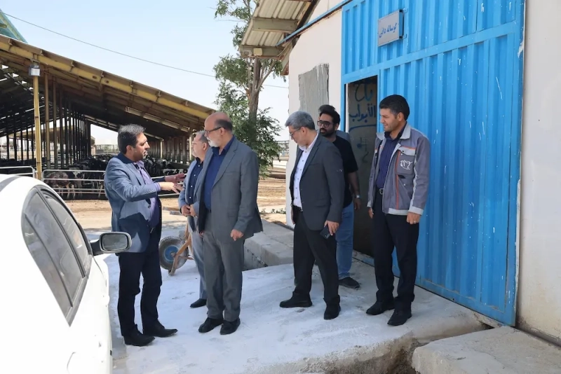 بازدید دکتر نایب معاون راهبردی و نظارت بر شرکت های شستا به همراه هیئت همراه از مجموعه ملاردشیر