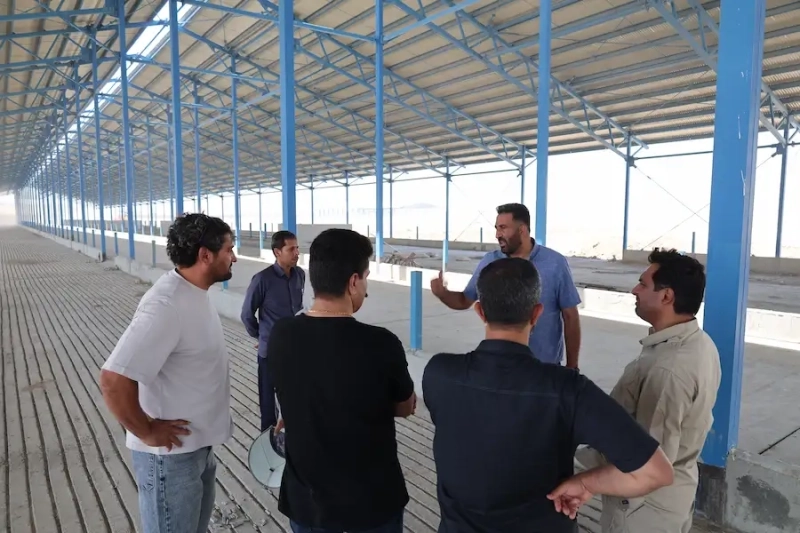 عزم راسخ در خط مقدم توسعه ملاردشیر؛ پایش میدانی مدیرعامل ملاردشیر در پروژه استراتژیک 3هزار‌ راس مولد ملایر