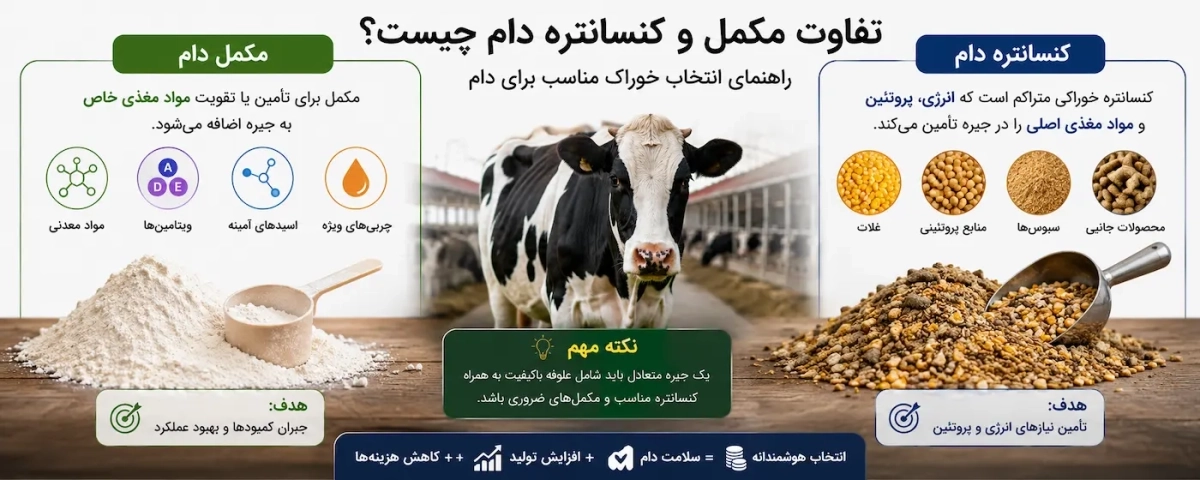 تفاوت مکمل و کنسانتره دام چیست؟