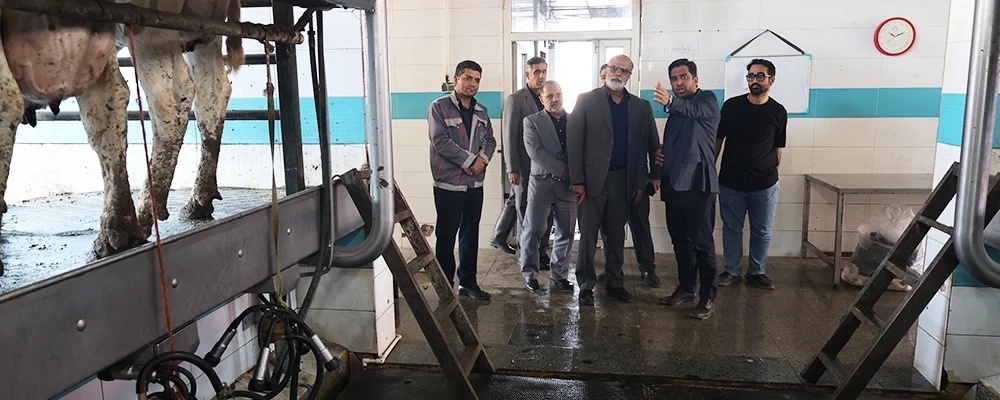 بازدید دکتر نایب معاون راهبردی و نظارت بر شرکت های شستا به همراه هیئت همراه از مجموعه ملاردشیر