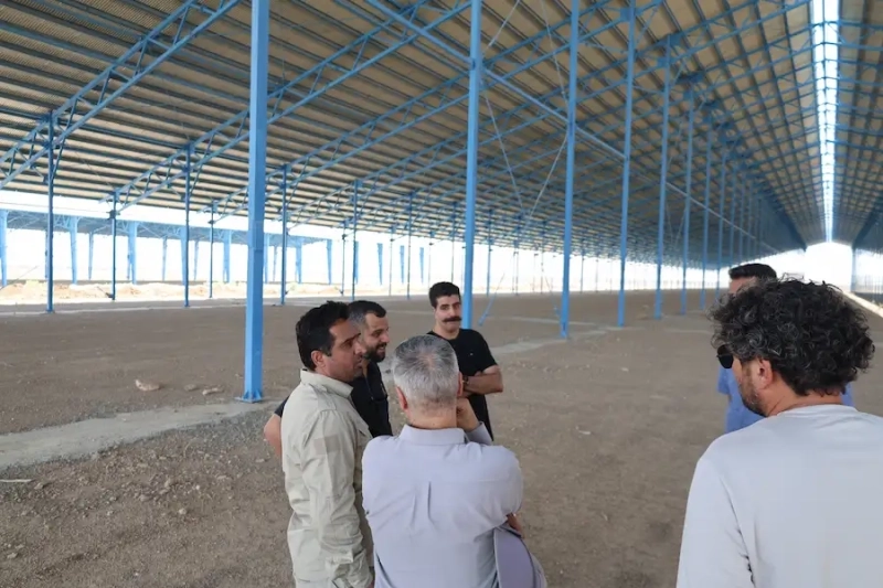 عزم راسخ در خط مقدم توسعه ملاردشیر؛ پایش میدانی مدیرعامل ملاردشیر در پروژه استراتژیک 3هزار‌ راس مولد ملایر