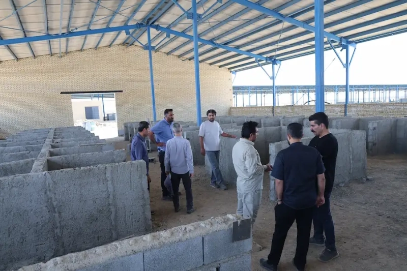 عزم راسخ در خط مقدم توسعه ملاردشیر؛ پایش میدانی مدیرعامل ملاردشیر در پروژه استراتژیک 3هزار‌ راس مولد ملایر