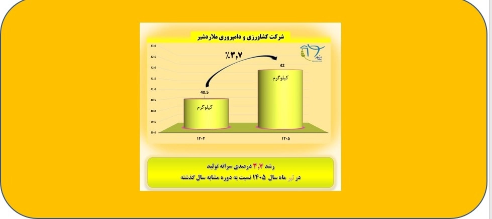 جهش تابستانه ملاردشیر به قله رکورد 42 کیلوگرم در سرانه تولید شیر