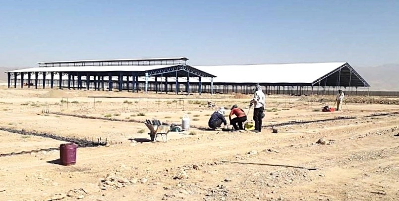 عملیات آرماتوربندی فونداسیون سالن پرورش تلیسه 3 در پروژه 6 هزار رأسی ملایر