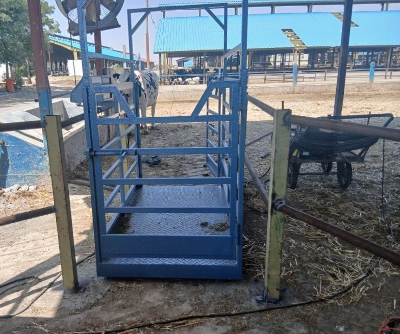 طراحی و استقرار سیستم توزین اختصاصی در بخش زایشگاه ملاردشیر 2