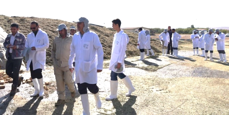 میزبانی شرکت ملاردشیر از مدیران عامل، معاونین و مدیران تولید شرکت‌های تابعه هلدینگ تادیکو / پایش میدانی شاخص‌های فنی و الگوی توسعه گله ها 15