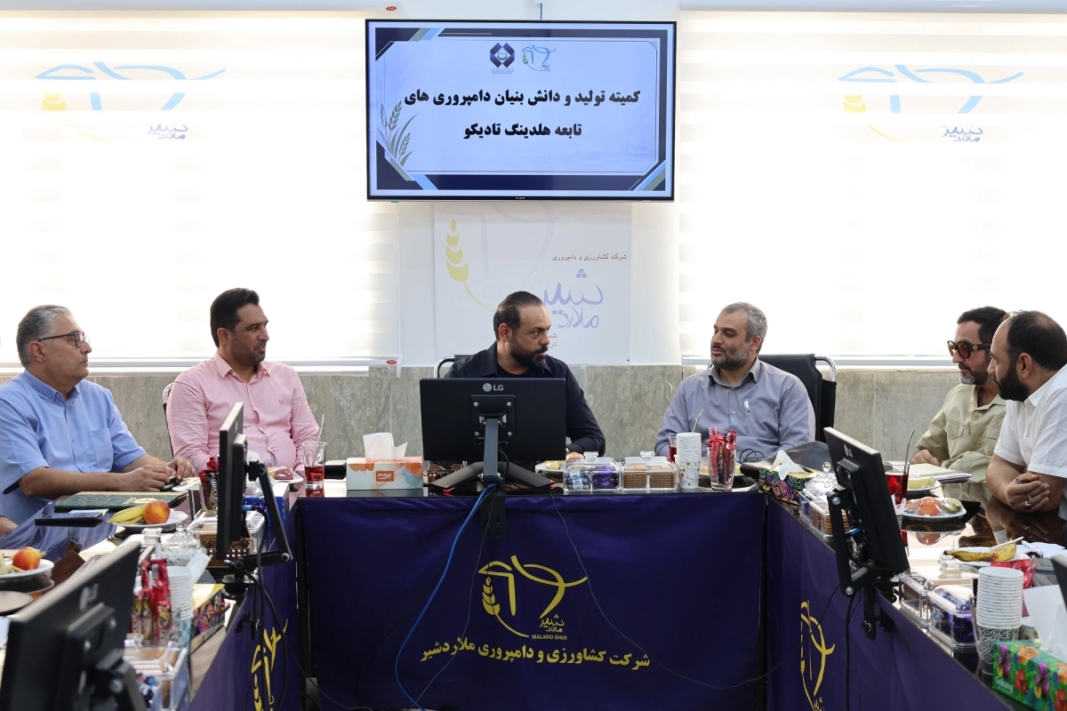 شصتو نهمین نشست کمیته فنی و دانشبنیان هلدینگ تادیکو در ملاردشیر برگزار شد / رونمایی از فرایند استانداردسازی طرحهای فناورانه و تقدیر از ایده برتر