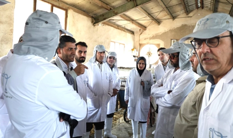 میزبانی شرکت ملاردشیر از مدیران عامل، معاونین و مدیران تولید شرکت‌های تابعه هلدینگ تادیکو / پایش میدانی شاخص‌های فنی و الگوی توسعه گله ها 19