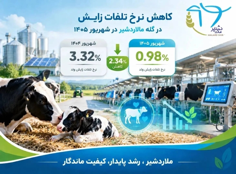 تحول در پروتکل‌های سلامت دام؛ مهار 2.3 برابری تلفات زایش در بزرگ‌ترین زنجیره‌های شیری کشور