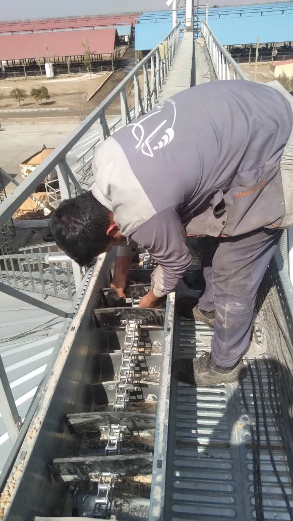 تداوم پایداری خطوط انتقال خوراک در ملاردشیر؛ سرویس دوره‌ای زنجیر چینکانوایر سیلوهای 500 تنی در کارخانه تمام اتوماتیک شرکت ملارد شیر