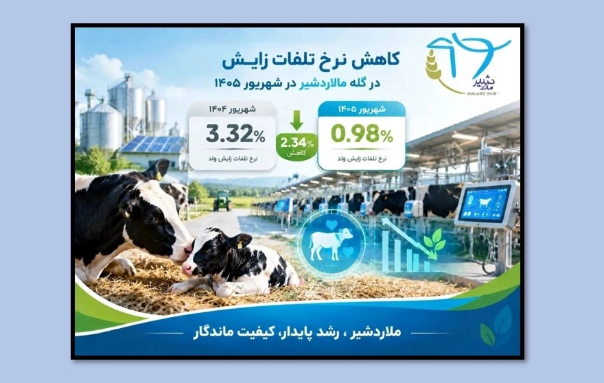 تحول در پروتکل‌های سلامت دام؛ مهار 2.3 برابری تلفات زایش در بزرگ‌ترین زنجیره‌های شیری کشور