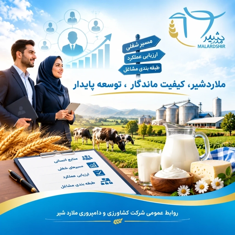 تثبیت عدالت مزدی در زنجیره تولید؛ طرح طبقه‌بندی مشاغل در ملاردشیر به ثمر نشست